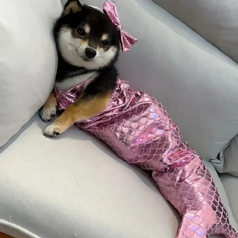 Mermaid Pet Costume - Always Whiskered