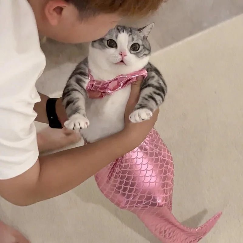 Mermaid Pet Costume - Always Whiskered