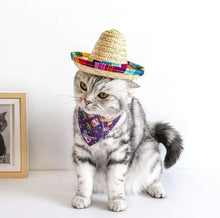 Mexican Sombrero hat - Always Whiskered