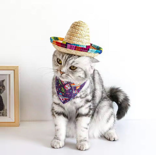 Mexican Sombrero hat - Always Whiskered