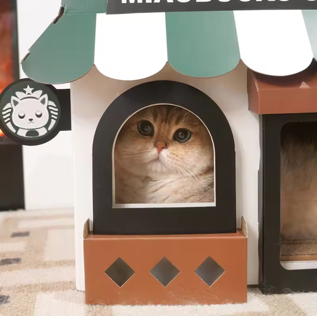 Miaobucks Cafe House - Always Whiskered