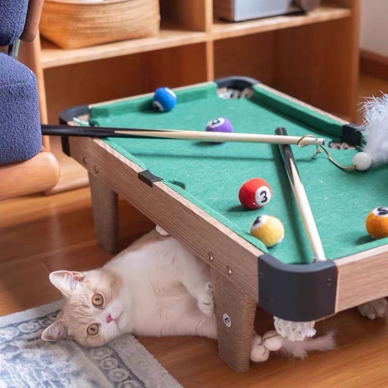 Mini Pool Table Cat Toy – Billiards Game for Cats - Always Whiskered