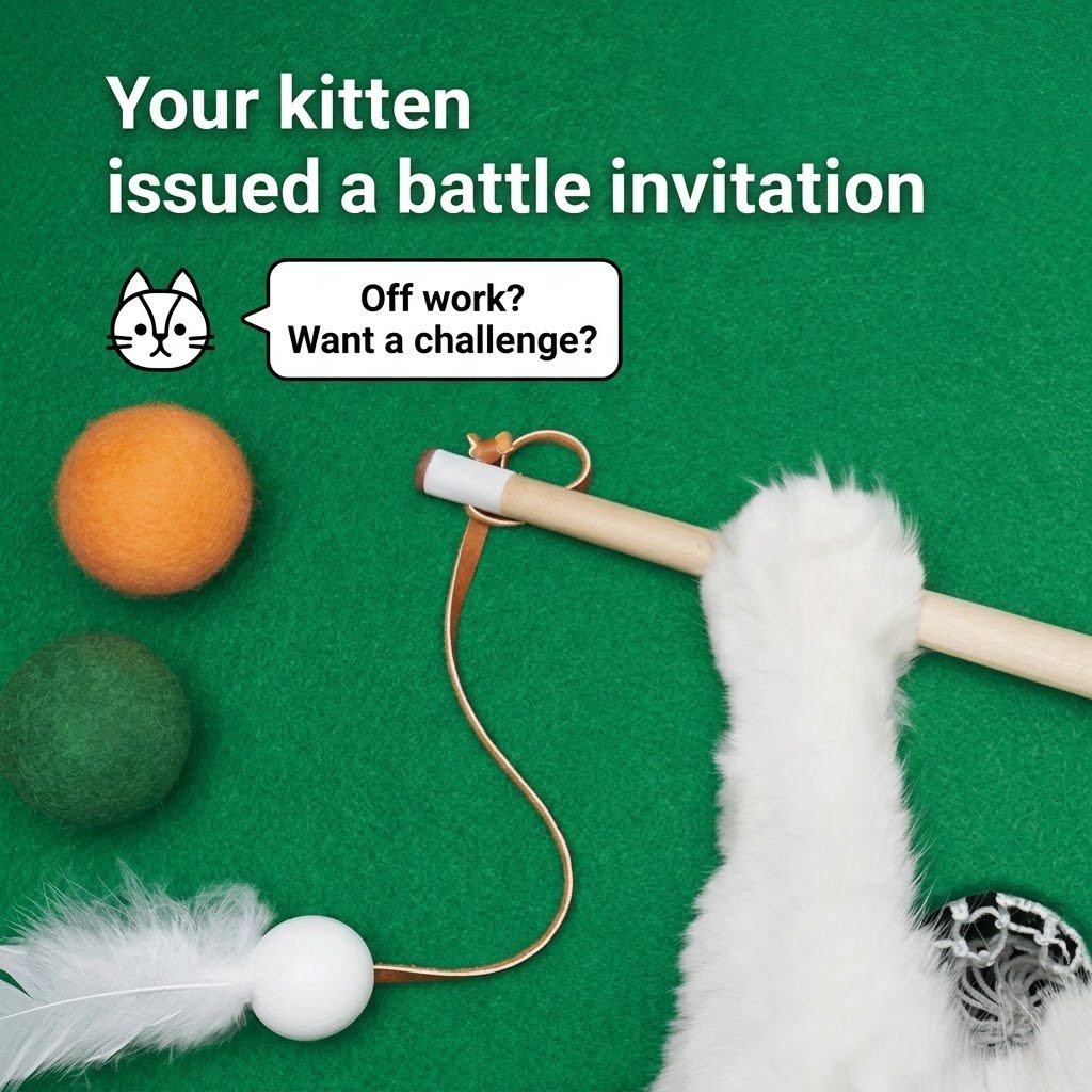 Mini Pool Table Cat Toy – Billiards Game for Cats - Always Whiskered