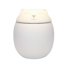 Minimalist Cat Memorial Urn - Always Whiskered