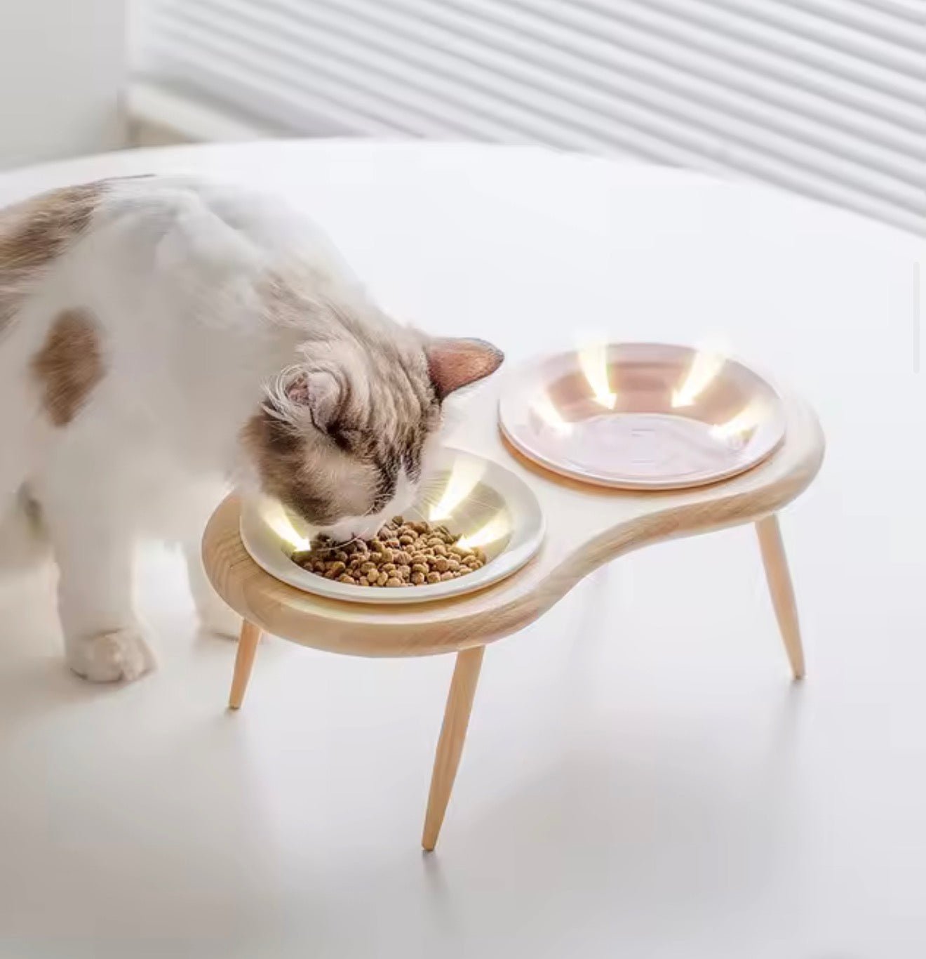 Minimalist Elevated Pet Bowl - Always Whiskered