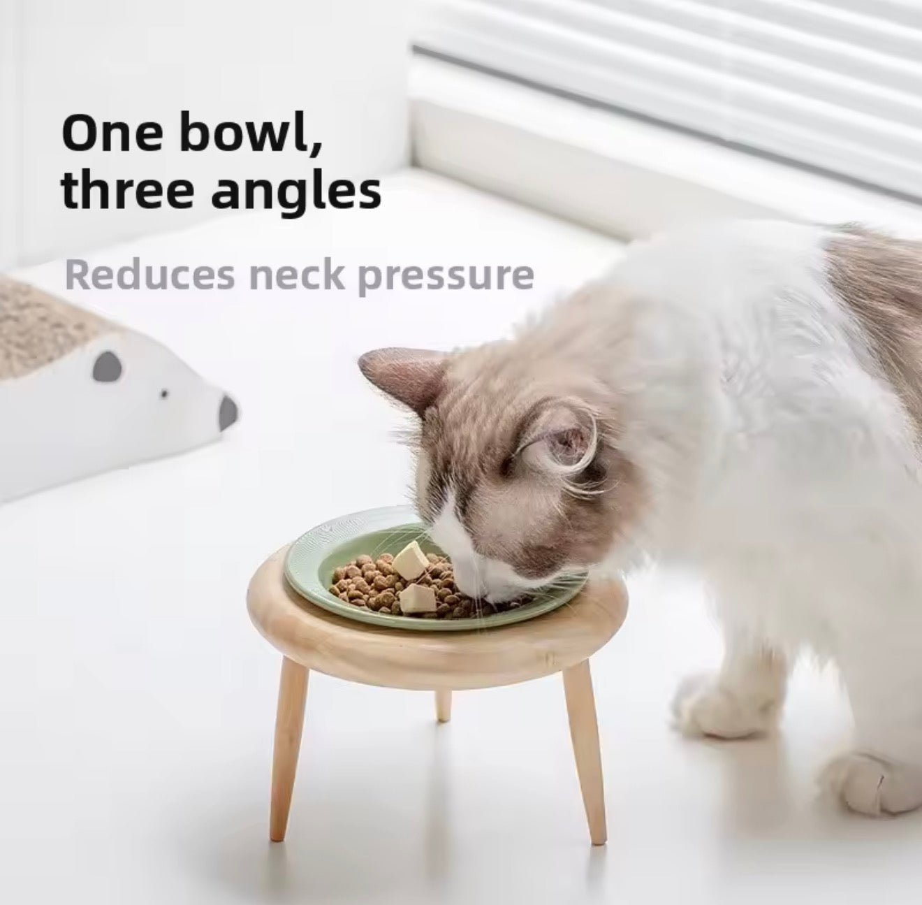 Minimalist Elevated Pet Bowl - Always Whiskered