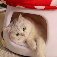 Mushroom Pet Bed - Always Whiskered