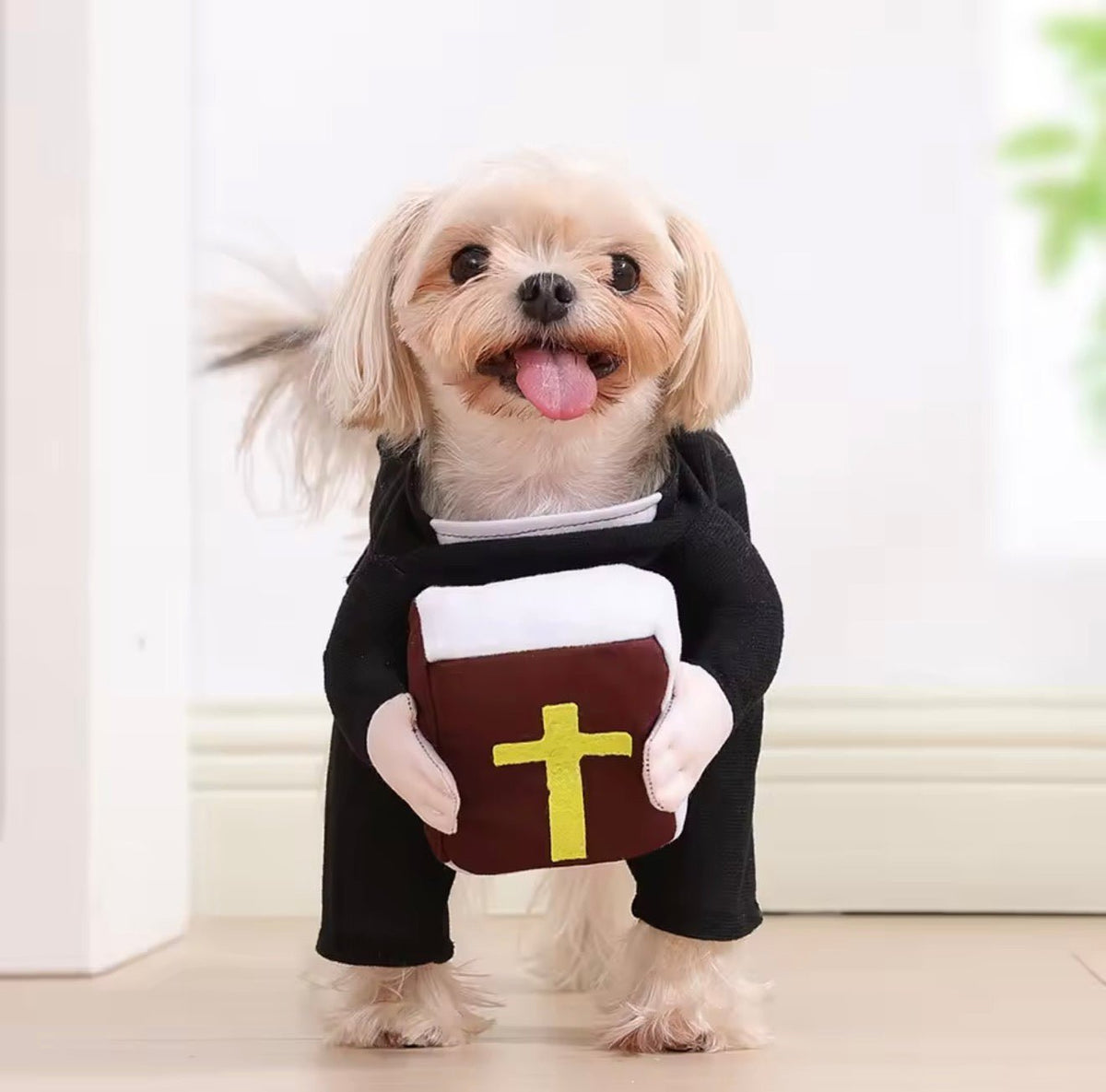 Nun Pet Costume - Always Whiskered