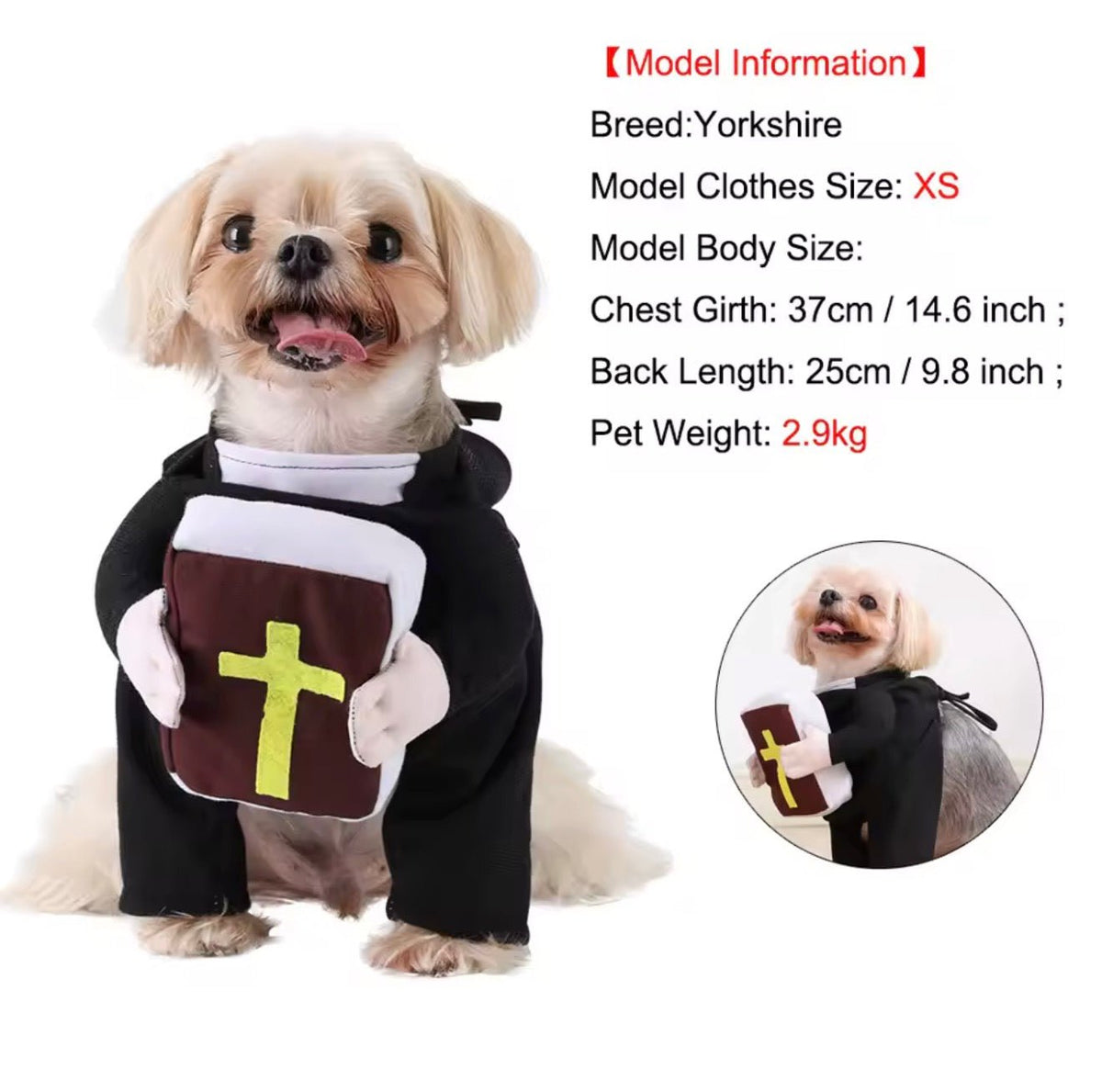 Nun Pet Costume - Always Whiskered