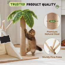 Palm Paradise Cat Tent - Always Whiskered