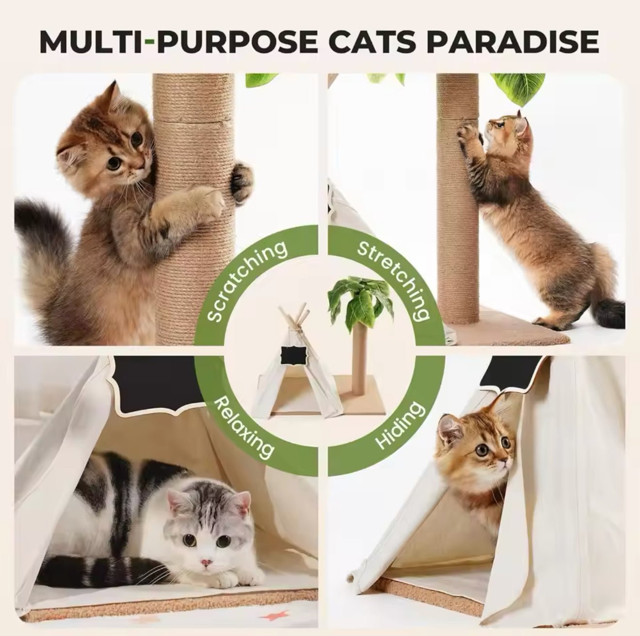 cat tent with tunnel palm print Palm Paradise Cat Tent – Always Whiskered