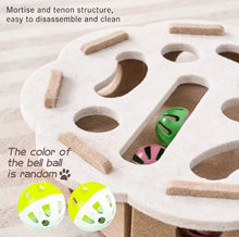 Paw & Seek Puzzle Toy - Always Whiskered