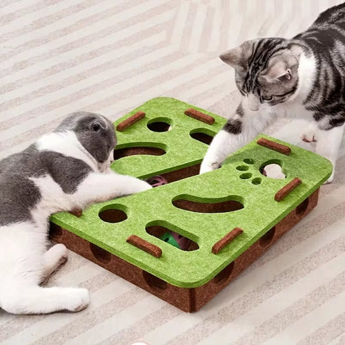 Paw & Seek Puzzle Toy - Always Whiskered