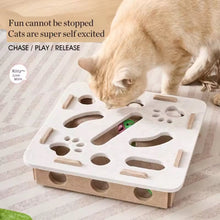 Paw & Seek Puzzle Toy - Always Whiskered