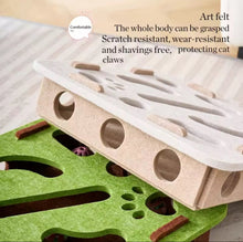 Paw & Seek Puzzle Toy - Always Whiskered