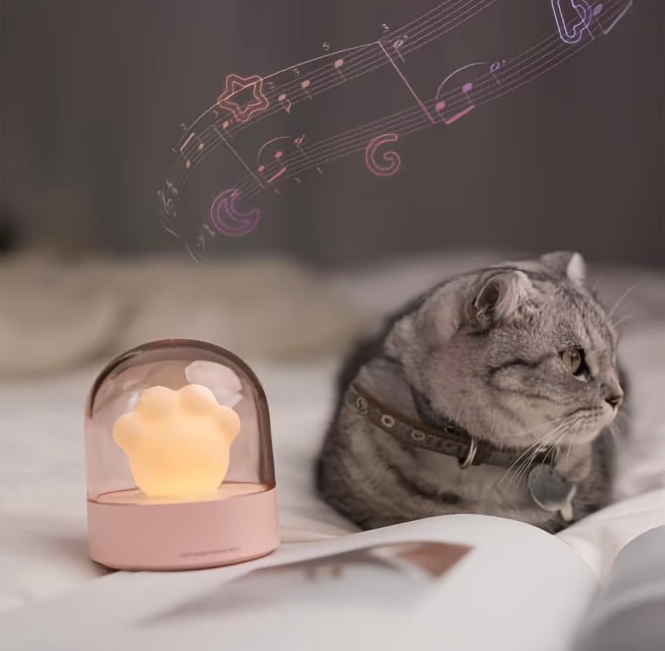 Paw Up Musical Night Light - Always Whiskered