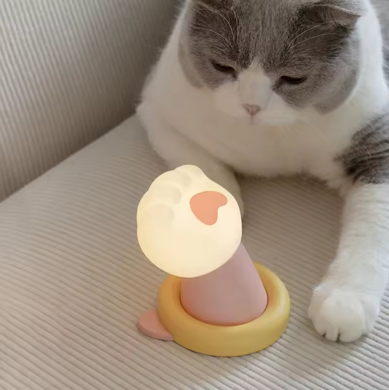 Pawfect Glow Night Light - Always Whiskered