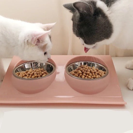 Pawfect Spill - Proof Double Diner - Always Whiskered