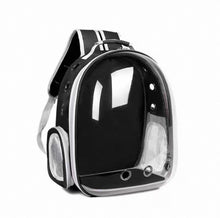 Pawfect View Clear Pet Backpack - Always Whiskered