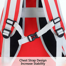 Pawfect View Clear Pet Backpack - Always Whiskered