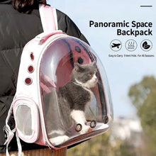 Pawfect View Clear Pet Backpack - Always Whiskered