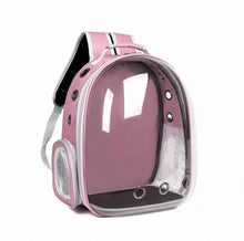 Pawfect View Clear Pet Backpack - Always Whiskered