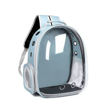 Pawfect View Clear Pet Backpack - Always Whiskered