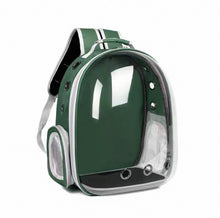 Pawfect View Clear Pet Backpack - Always Whiskered