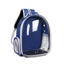 Pawfect View Clear Pet Backpack - Always Whiskered
