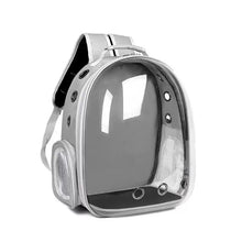 Pawfect View Clear Pet Backpack - Always Whiskered