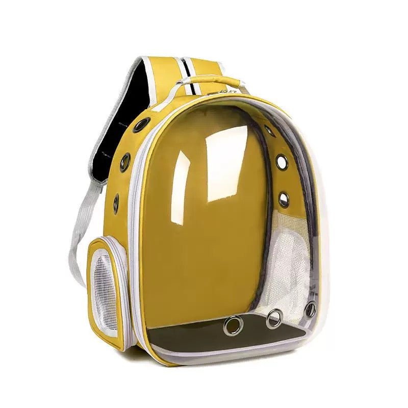 Clear Cat Backpack Transparent