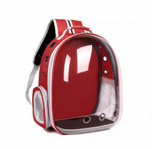 Pawfect View Clear Pet Backpack - Always Whiskered