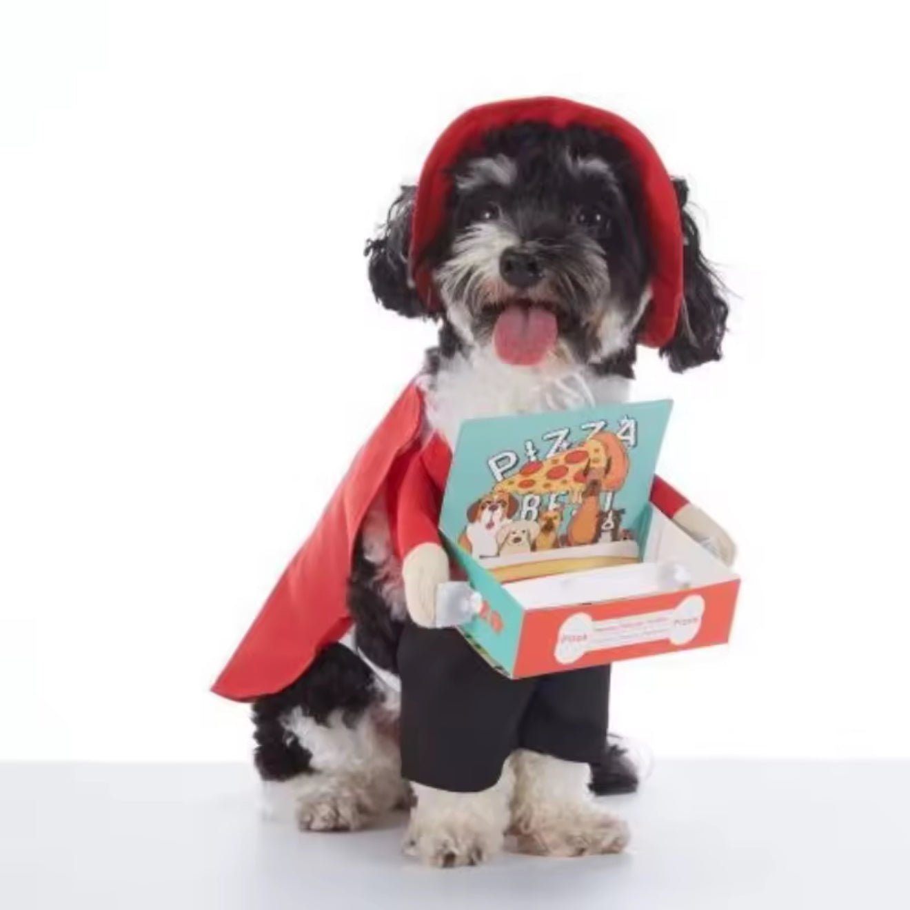 Pawsome Cosplay - Always Whiskered