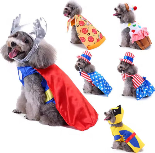 Pawsome Cosplay - Always Whiskered