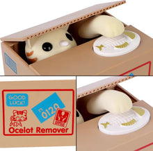 Pawsome Meow Coin Bank - Always Whiskered