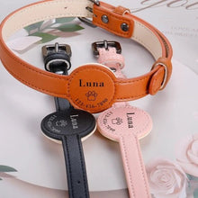 Perrsonalized Pet Collar for AirTag - Always Whiskered