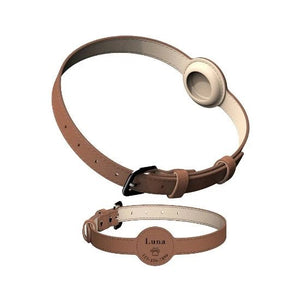 Perrsonalized Pet Collar for AirTag - Always Whiskered