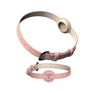 Perrsonalized Pet Collar for AirTag - Always Whiskered