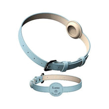 Perrsonalized Pet Collar for AirTag - Always Whiskered