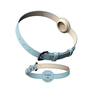 Perrsonalized Pet Collar for AirTag - Always Whiskered