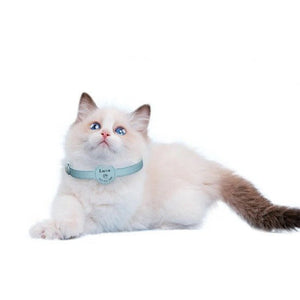 Perrsonalized Pet Collar for AirTag - Always Whiskered