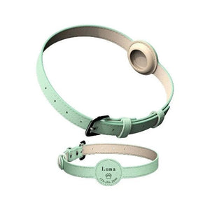 Perrsonalized Pet Collar for AirTag - Always Whiskered