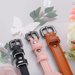 Perrsonalized Pet Collar for AirTag - Always Whiskered