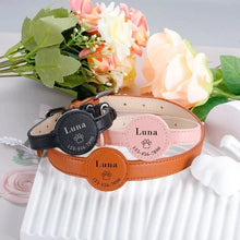 Perrsonalized Pet Collar for AirTag - Always Whiskered