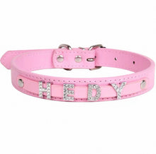 Personalized Bling Name Collar - Always Whiskered