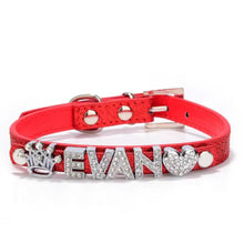 Personalized Bling Name Collar - Always Whiskered