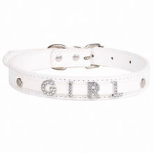 Personalized Bling Name Collar - Always Whiskered