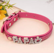 Personalized Bling Name Collar - Always Whiskered