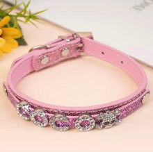 Personalized Bling Name Collar - Always Whiskered