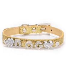 Personalized Bling Name Collar - Always Whiskered